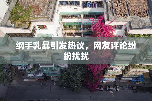 纲手乳暴引发热议，网友评论纷纷扰扰
