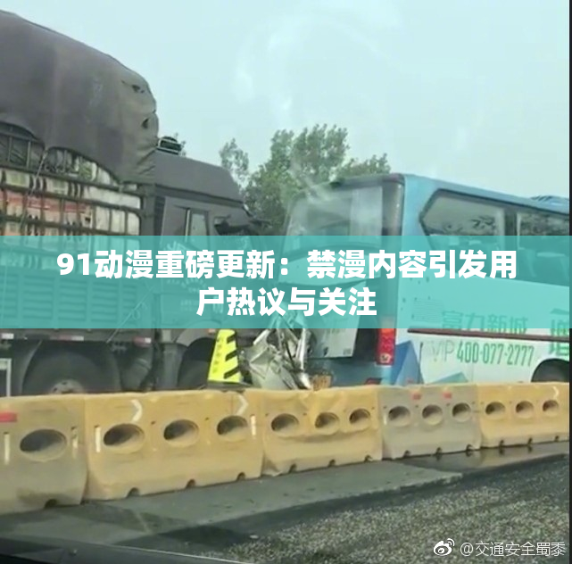 91动漫重磅更新：禁漫内容引发用户热议与关注