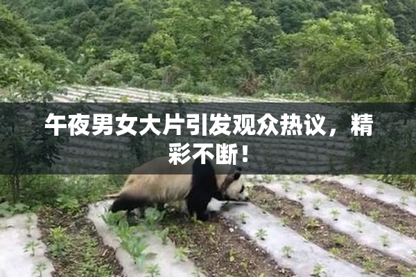 午夜男女大片引发观众热议，精彩不断！