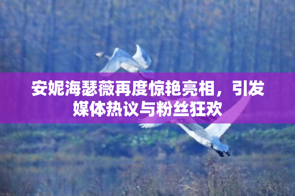 安妮海瑟薇再度惊艳亮相，引发媒体热议与粉丝狂欢