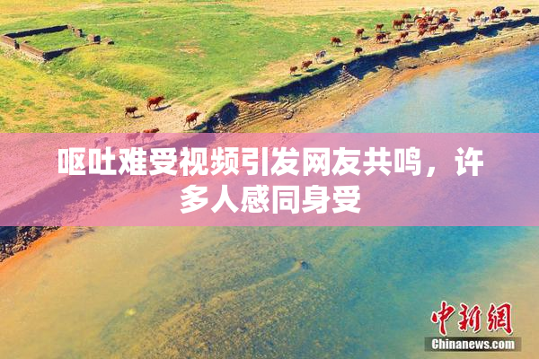呕吐难受视频引发网友共鸣，许多人感同身受