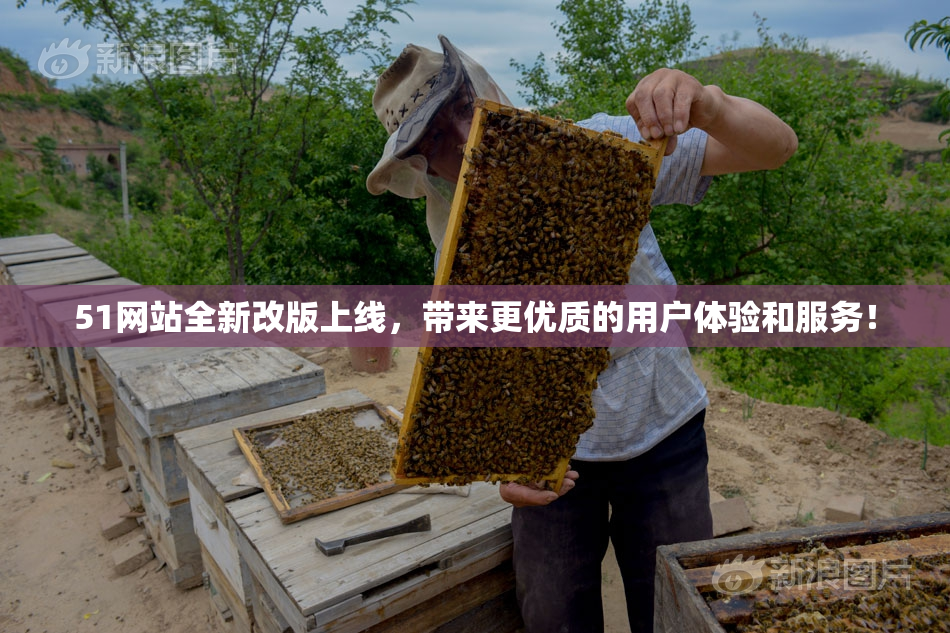51网站全新改版上线，带来更优质的用户体验和服务！