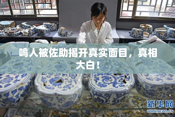 鸣人被佐助揭开真实面目，真相大白！