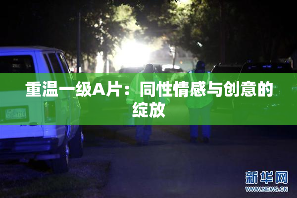 重温一级A片：同性情感与创意的绽放