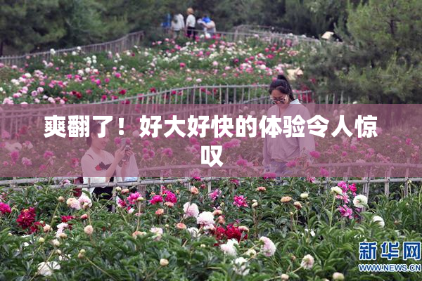 爽翻了！好大好快的体验令人惊叹
