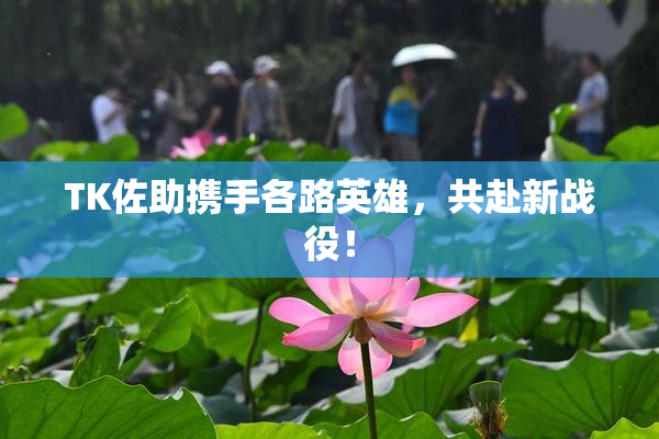 TK佐助携手各路英雄，共赴新战役！