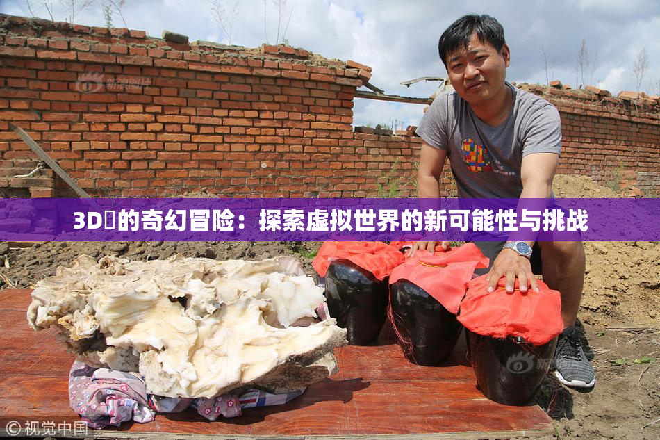 3D姉的奇幻冒险：探索虚拟世界的新可能性与挑战