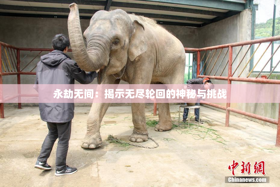 永劫无间：揭示无尽轮回的神秘与挑战