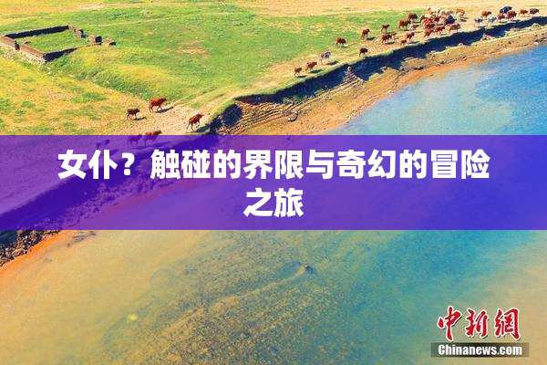 女仆？触碰的界限与奇幻的冒险之旅