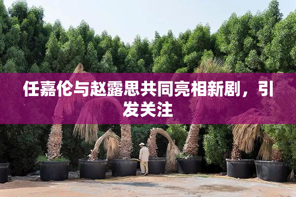 任嘉伦与赵露思共同亮相新剧，引发关注