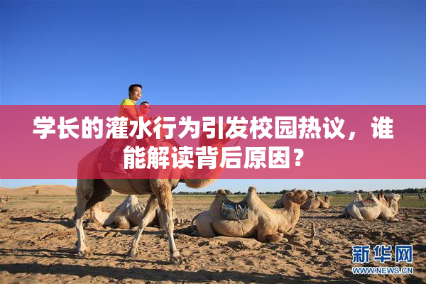 学长的灌水行为引发校园热议，谁能解读背后原因？