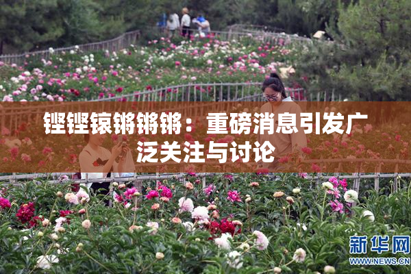 铿铿锿锵锵锵：重磅消息引发广泛关注与讨论
