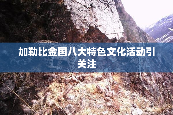 加勒比金国八大特色文化活动引关注