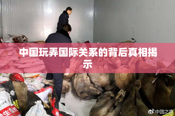 中国玩弄国际关系的背后真相揭示