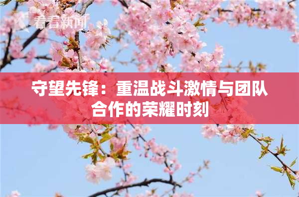 守望先锋：重温战斗激情与团队合作的荣耀时刻