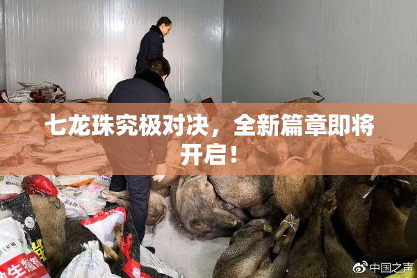七龙珠究极对决，全新篇章即将开启！