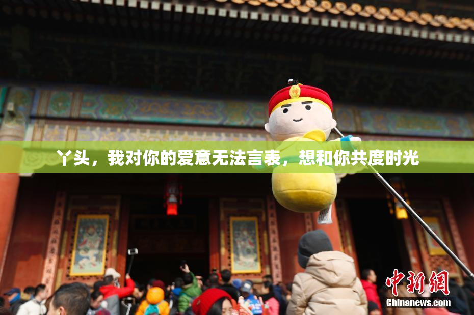 丫头，我对你的爱意无法言表，想和你共度时光