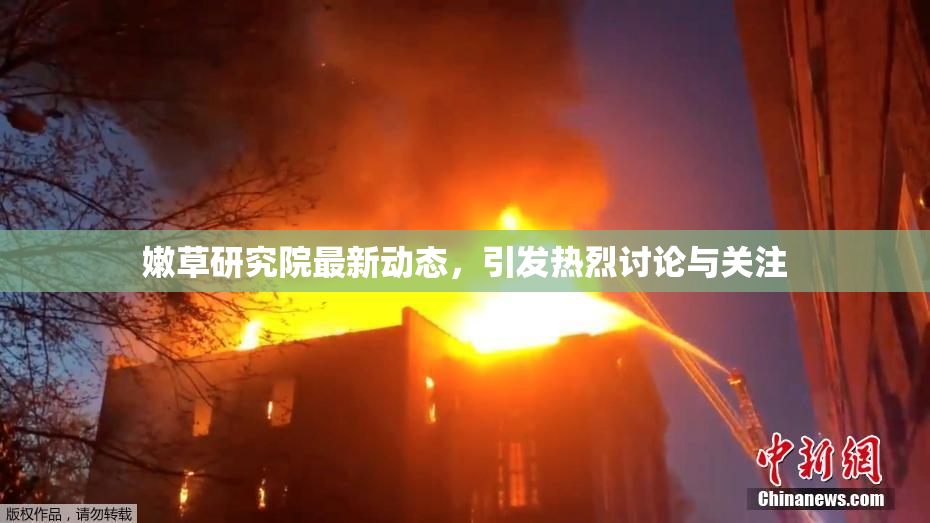 嫩草研究院最新动态，引发热烈讨论与关注