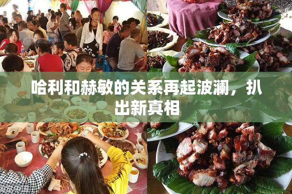 哈利和赫敏的关系再起波澜，扒出新真相