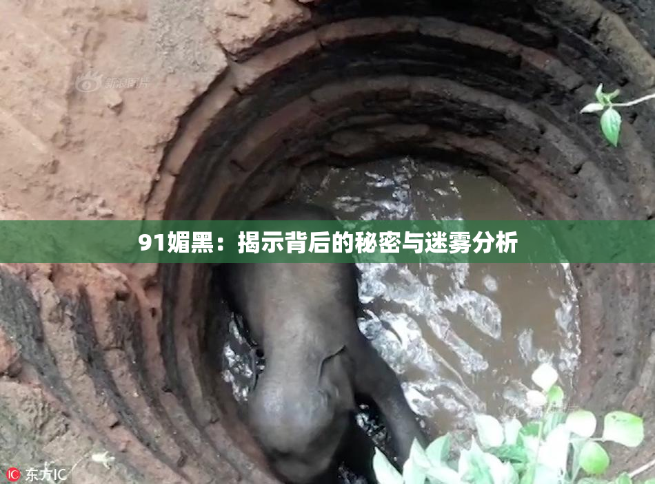 91媚黑：揭示背后的秘密与迷雾分析