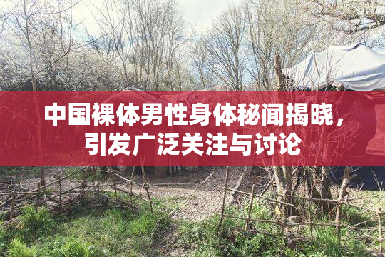 中国裸体男性身体秘闻揭晓，引发广泛关注与讨论