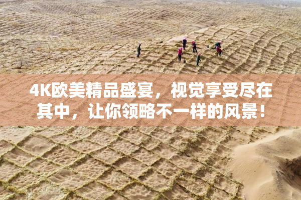 4K欧美精品盛宴，视觉享受尽在其中，让你领略不一样的风景！