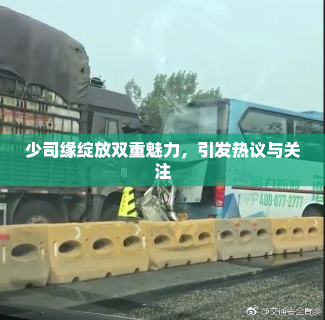 少司缘绽放双重魅力，引发热议与关注