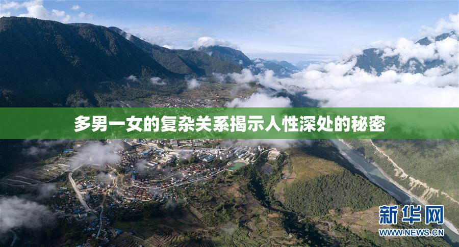 多男一女的复杂关系揭示人性深处的秘密