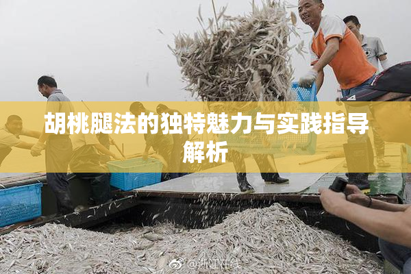 胡桃腿法的独特魅力与实践指导解析