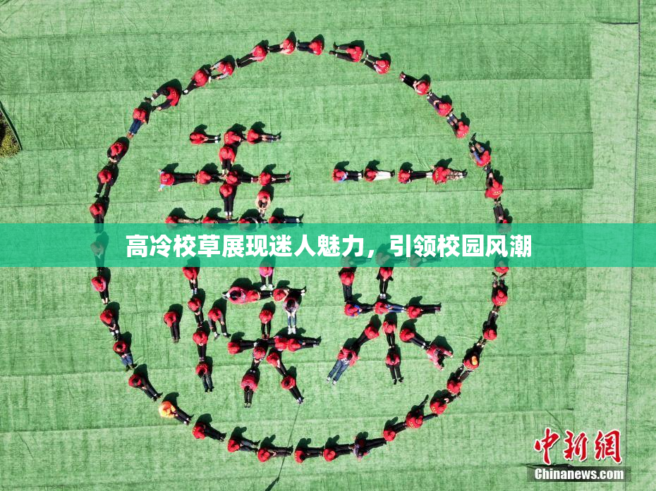 高冷校草展现迷人魅力，引领校园风潮