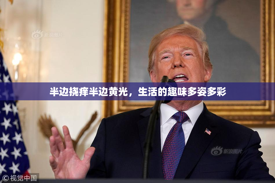 半边挠痒半边黄光，生活的趣味多姿多彩