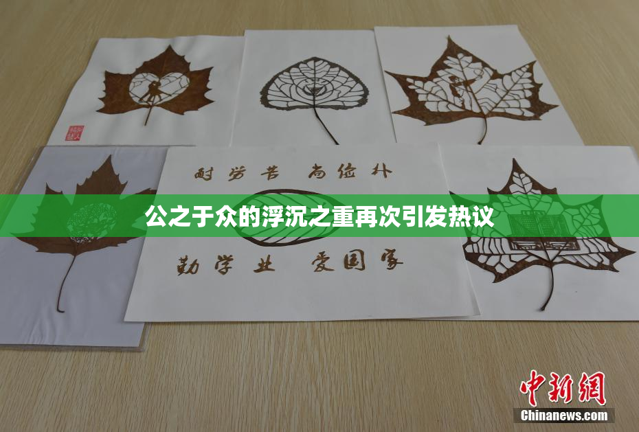 公之于众的浮沉之重再次引发热议