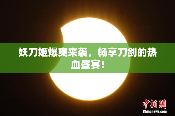 妖刀姬爆爽来袭，畅享刀剑的热血盛宴！