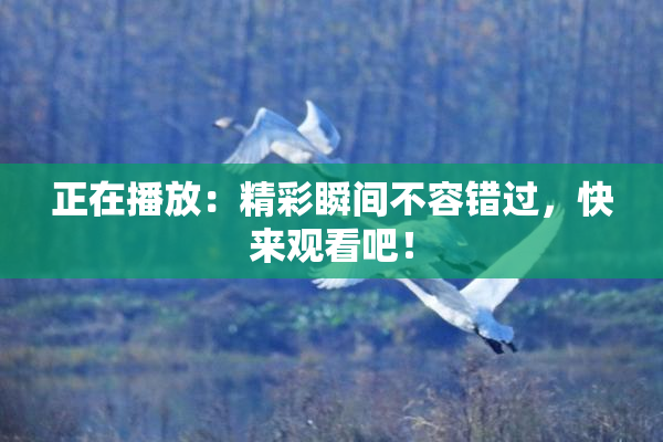 正在播放：精彩瞬间不容错过，快来观看吧！