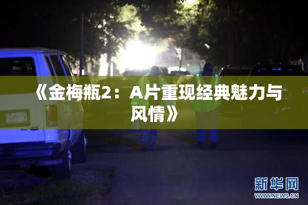 《金梅瓶2：A片重现经典魅力与风情》