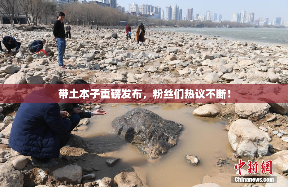 带土本子重磅发布，粉丝们热议不断！
