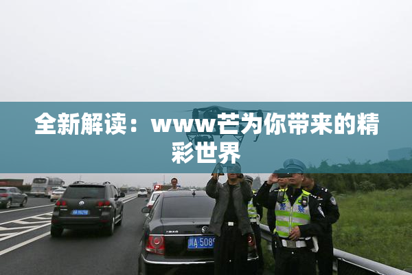 全新解读：www芒为你带来的精彩世界