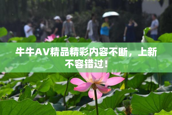 牛牛AV精品精彩内容不断，上新不容错过！