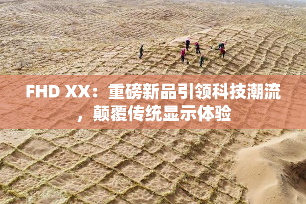 FHD XX：重磅新品引领科技潮流，颠覆传统显示体验