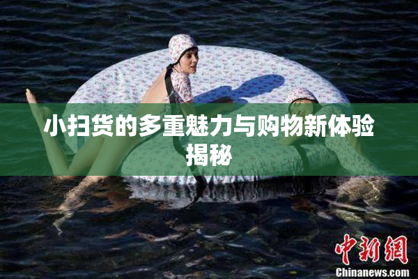 小扫货的多重魅力与购物新体验揭秘