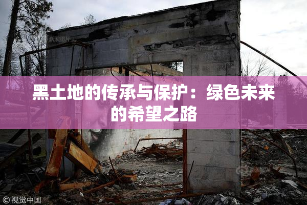 黑土地的传承与保护：绿色未来的希望之路