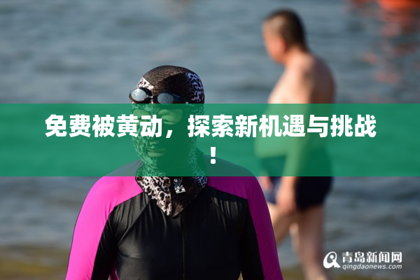 免费被黄动，探索新机遇与挑战！