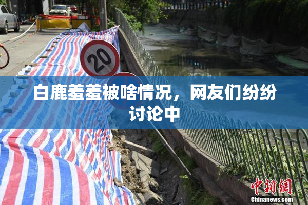 白鹿羞羞被啥情况，网友们纷纷讨论中