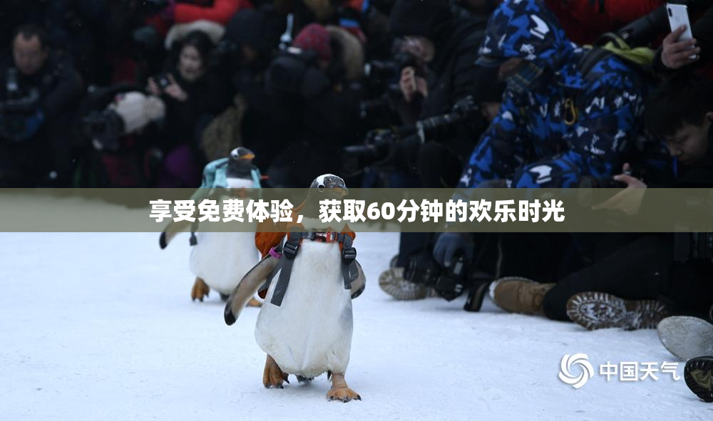 享受免费体验，获取60分钟的欢乐时光