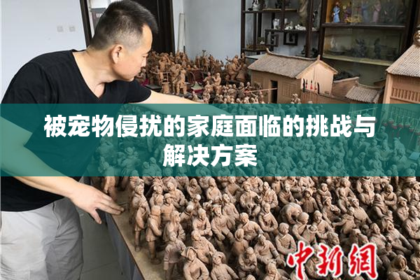 被宠物侵扰的家庭面临的挑战与解决方案
