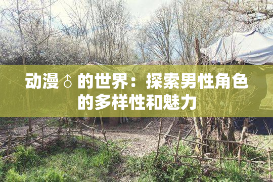 动漫♂的世界：探索男性角色的多样性和魅力