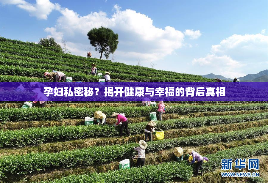 孕妇私密秘？揭开健康与幸福的背后真相