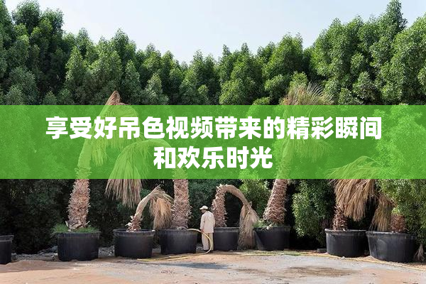 享受好吊色视频带来的精彩瞬间和欢乐时光