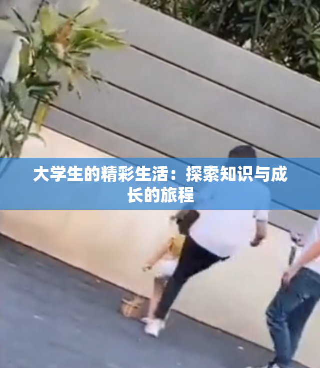 大学生的精彩生活：探索知识与成长的旅程