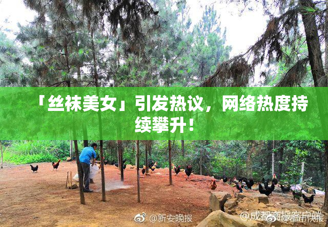 「丝袜美女」引发热议，网络热度持续攀升！